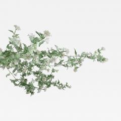 Julie Percillier Roseum M lodie Des Feuillages - 4466425