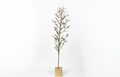 Julie Percillier Vergerette du Canada - 4466314