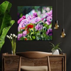 Julie Whitehead French Poppies 2 - 4326907