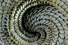 Juliette Clovis Green Ammonite Endless Series - 3945538