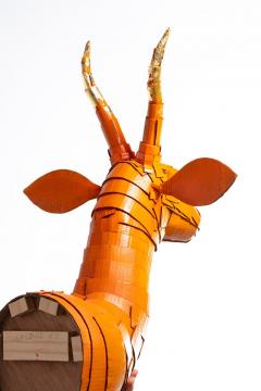 Justin King Gazelle 5 in Persimmon Orange with Gold Leaf Horn Detail - 2042332