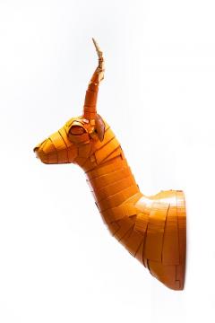 Justin King Gazelle 5 in Persimmon Orange with Gold Leaf Horn Detail - 2042336