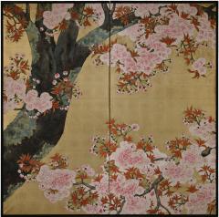 Kano Sanrakuki Early 20th Century Japanese Cherry Blossom Screen - 3616301
