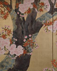 Kano Sanrakuki Early 20th Century Japanese Cherry Blossom Screen - 3616313