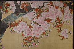 Kano Sanrakuki Early 20th Century Japanese Cherry Blossom Screen - 3616317