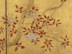 Kano School Cherry Blossoms and Flowering Grasses 19th century - 2586784