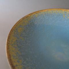 Karen Swami COSMOS BOWL - 922486