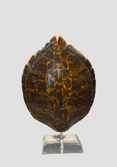 Karl Springer 1970s Karl Springer Tortoise Shell Lamp - 3822655