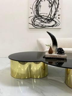 Karl Springer Free Form Biomorphic Brass and Glass Coffee Table 1970s - 3175845