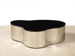 Karl Springer Freeform Cocktail Table by Karl Springer - 4487138