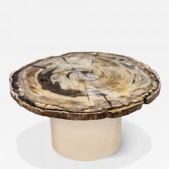 Karl Springer Karl Springer Exceptional Petrified Wood Coffee Table 1980s - 3115669