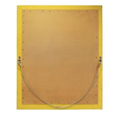 Karl Springer Karl Springer Large Wall Hanging Mirror In Python and Buffalo Skin 1987 Signed  - 1756387