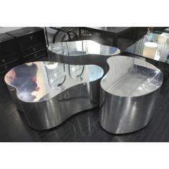 Karl Springer Karl Springer Rare and Exceptional Set of 3 Free Form Coffee Tables 1980s - 4119034