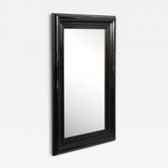 Karl Springer Mid Century French Polished Tortoise Hue Finish Molding Mirror by Karl Springer - 4491411