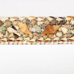 Karl Springer Mid Century Tessellated Seashell Border Mirror in the Manner of Karl Springer - 4233540