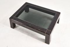 Karl Sprnger Tessellated Horn Sculpture Leg and Brass Coffee Table 1960 - 2775770