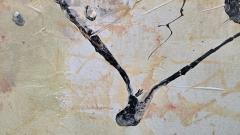 Kathi Robinson Frank Arise 2025 Large Abstract Painting On Canvas by Kathi Robinson Frank - 4551106