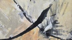 Kathi Robinson Frank Cave Painting After Plato 2025 Abstract Painting by Kathi Robinson Frank - 4538624