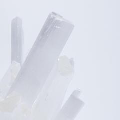 Kathryn McCoy Square Planter Bowl in Selenite by Kathryn McCoy - 4236945