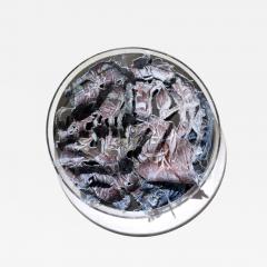Kevork Mourad The Talisman II 2025 - 4344510