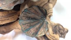 Kurt Salla Brutalist Metal Floral Driftwood Sculpture Kurt Salla - 4136034