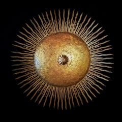 LARGE MID 20TH CENTURY SPANISH GILT IRON SUNBURST WALL OR CEILING LIGHT - 2048765