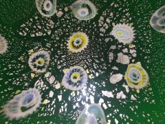LARGE MODERN MILLEFIORI CANES MURANO GLASS CHARGER - 768450