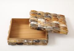 LG Buffalo Horn Box - 4227597