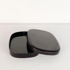 Lacquered Japanese Box with Tray Interior circa 1890 - 2978851