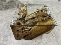 Laquered Teak Root Coffee Side Table With Safety Glass Plate Indonesia 2022 - 3657521