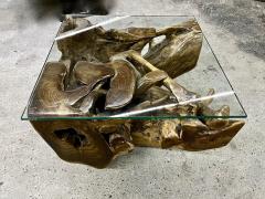 Laquered Teak Root Coffee Side Table With Safety Glass Plate Indonesia 2022 - 3657524