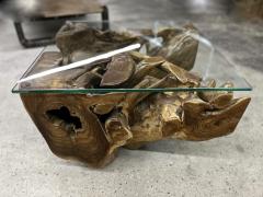 Laquered Teak Root Coffee Side Table With Safety Glass Plate Indonesia 2022 - 3657525