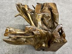 Laquered Teak Root Coffee Side Table With Safety Glass Plate Indonesia 2022 - 3657531