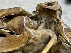 Laquered Teak Root Coffee Side Table With Safety Glass Plate Indonesia 2022 - 3657533