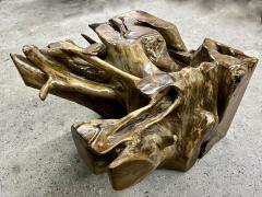 Laquered Teak Root Coffee Side Table With Safety Glass Plate Indonesia 2022 - 3657534