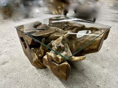 Laquered Teak Root Coffee Side Table With Safety Glass Plate Indonesia 2022 - 3657536