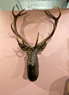 Large 19th Century Black Forest Deer Head with Natural Antlers - 1436208