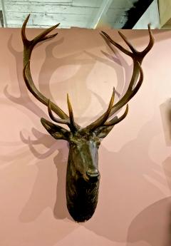 Large 19th Century Black Forest Deer Head with Natural Antlers - 1436209