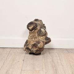 Large Ancient Concretion of Fossilized Shells Sediment Likely Cambrian Period - 4573358