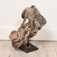 Large Ancient Concretion of Fossilized Shells Sediment Likely Cambrian Period - 4573359