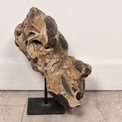 Large Ancient Concretion of Fossilized Shells Sediment Likely Cambrian Period - 4573361