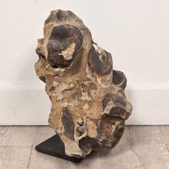 Large Ancient Concretion of Fossilized Shells Sediment Likely Cambrian Period - 4573362