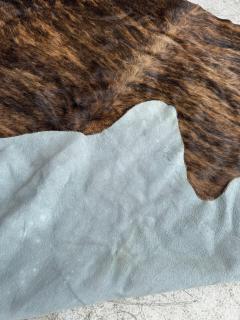 Large Beautiful Cowhide Fur - 4383345
