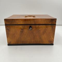 Large Biedermeier Box or Chest Walnut Veneer Brass South Germany circa 1820 - 3881684