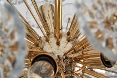 Large Brass and Glass Germany Flower Sputnik Chandelier - 212342