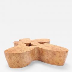 Large Burl Wood Organic Shaped Coffee Table - 2983881