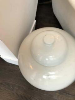 Large Chinese Ceramic Ginger Jar - 2475745
