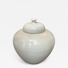 Large Chinese Ceramic Ginger Jar - 2480342
