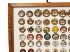 Large Collection of 571 Antique American and English Bridle Rosettes - 3996558