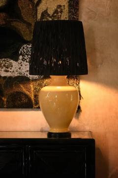 Large Crackle Ceramic Table Lamp With Wooden Base And Raffia Lampshade - 3707660